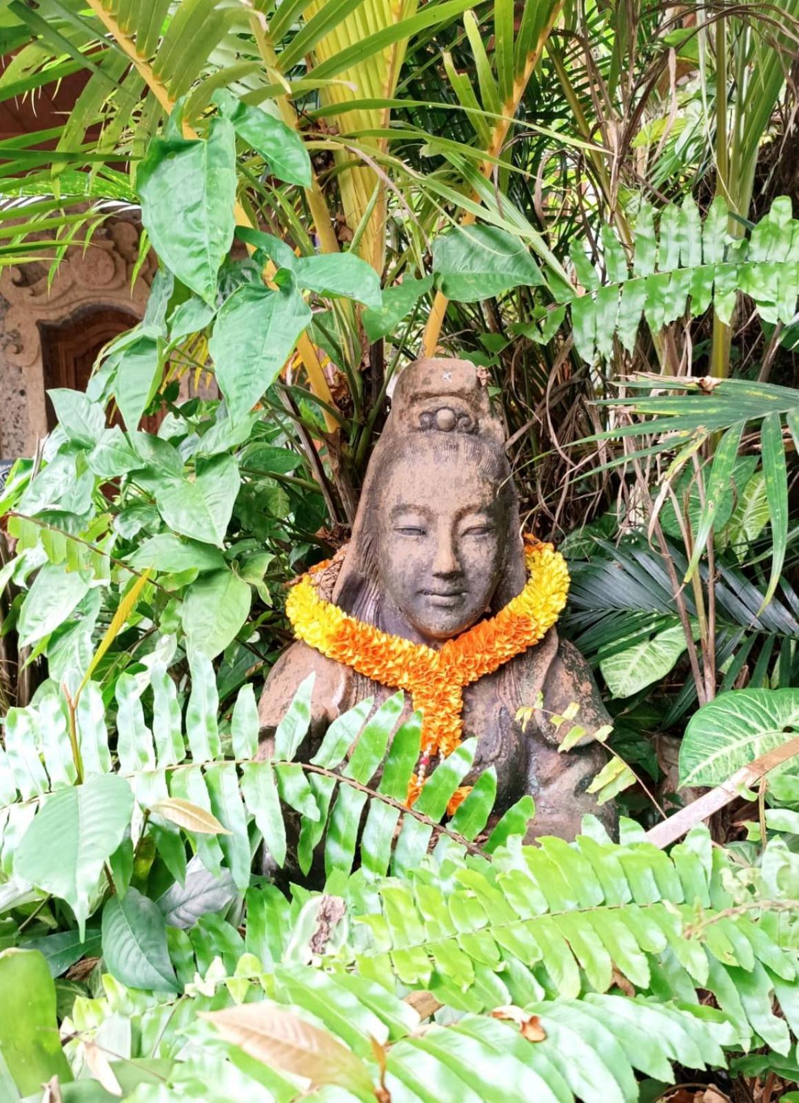 Hotel Mandala Blu Wellness Ubud Esterno foto