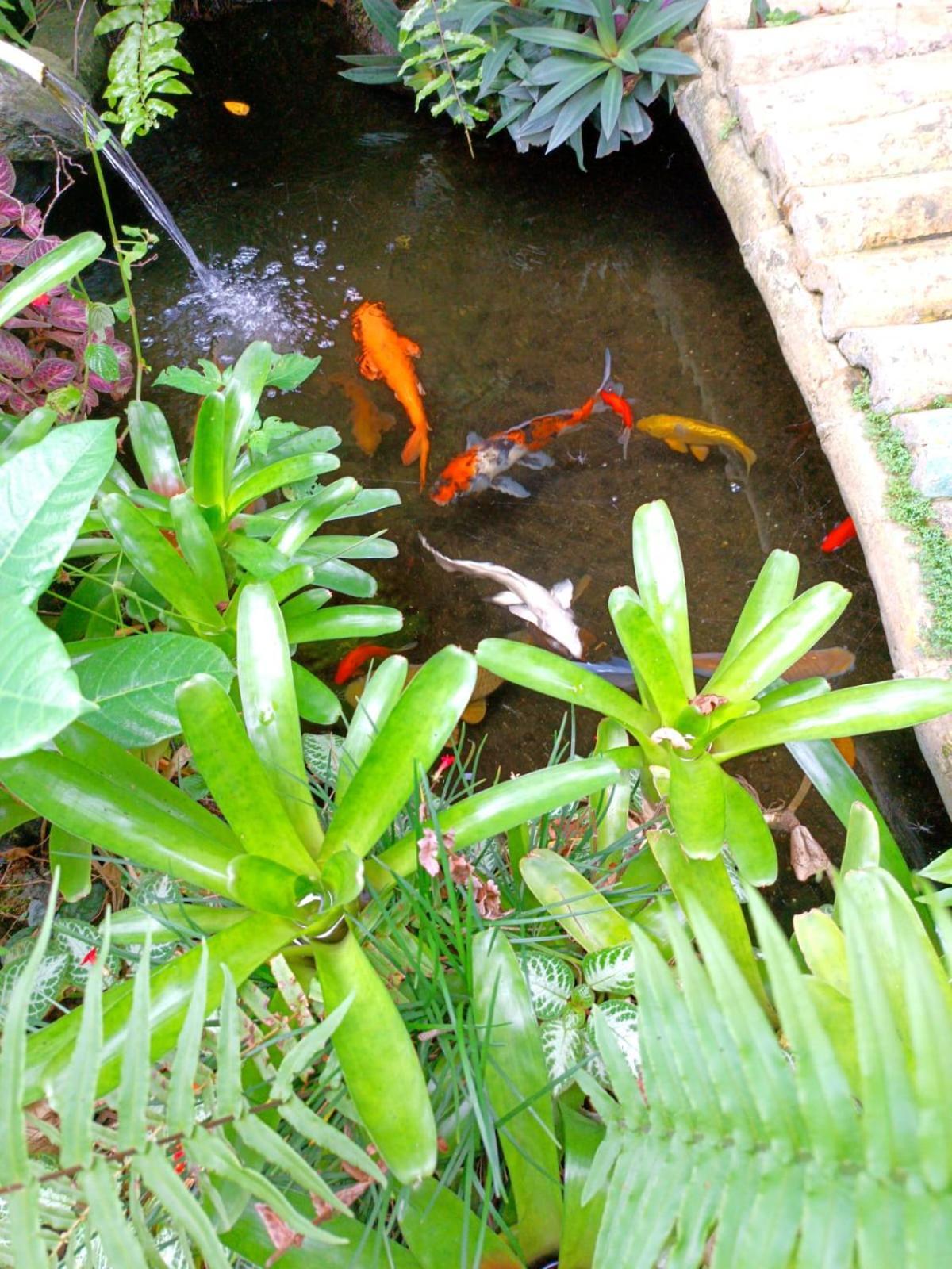 Hotel Mandala Blu Wellness Ubud Esterno foto