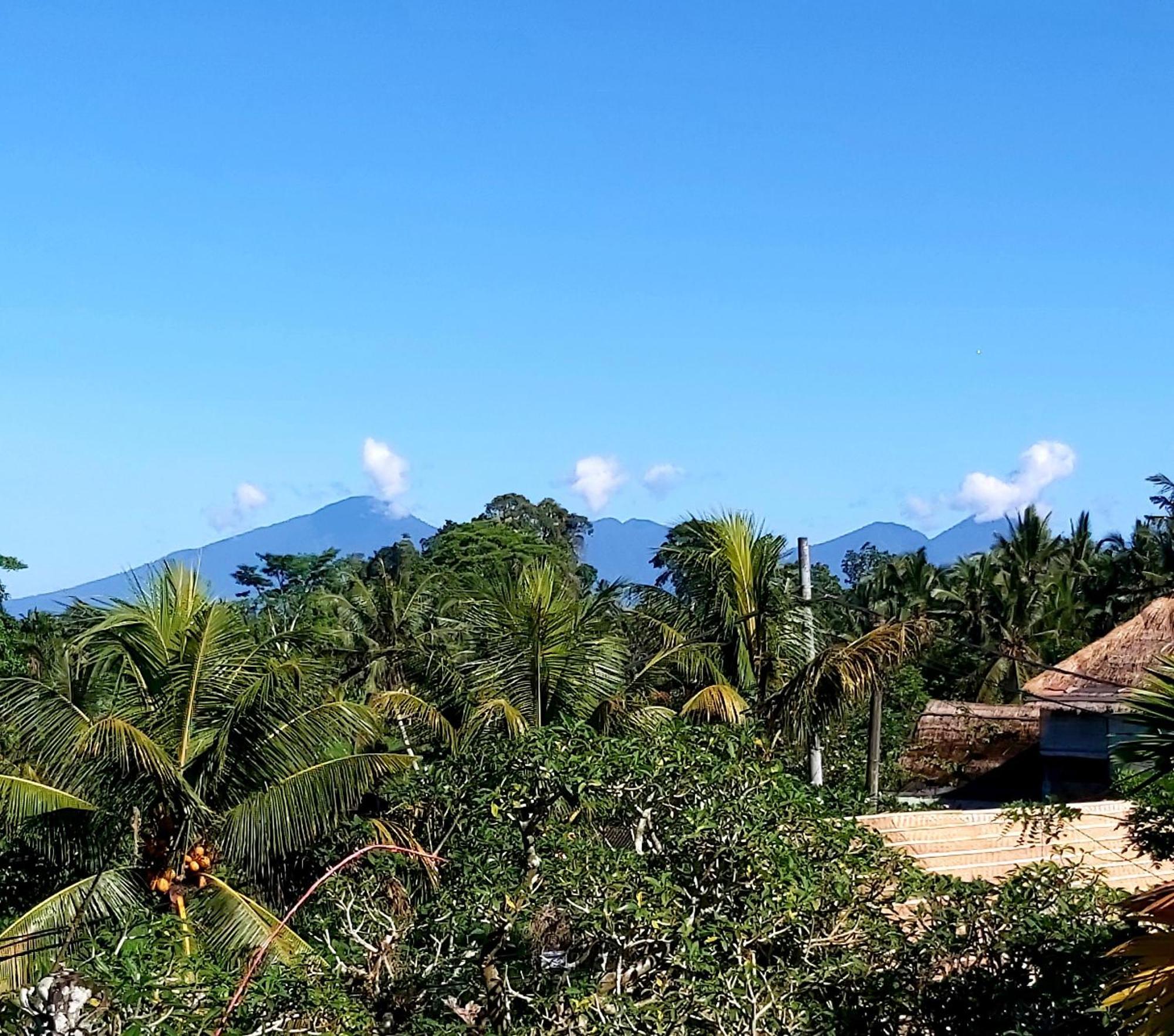 Hotel Mandala Blu Wellness Ubud Esterno foto